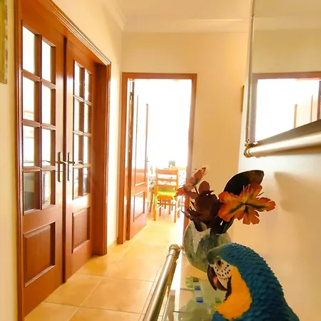 Welkome Estadio T2 Appartement